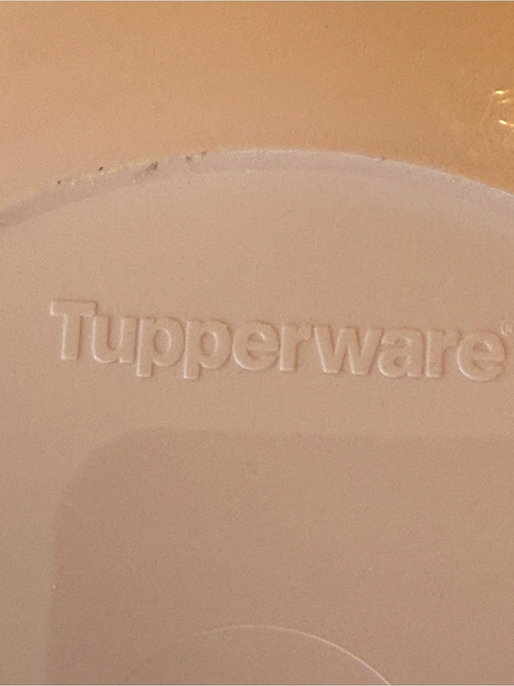 Tupperware durable serving
